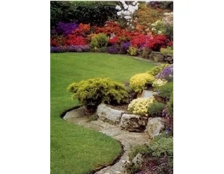 giardino roccioso