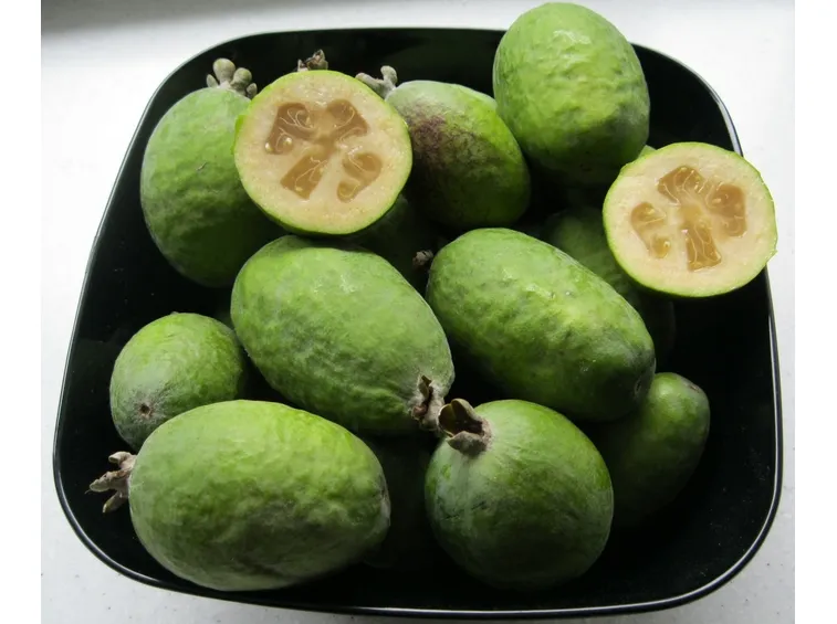 acca frutto