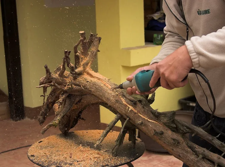 legno di tasso