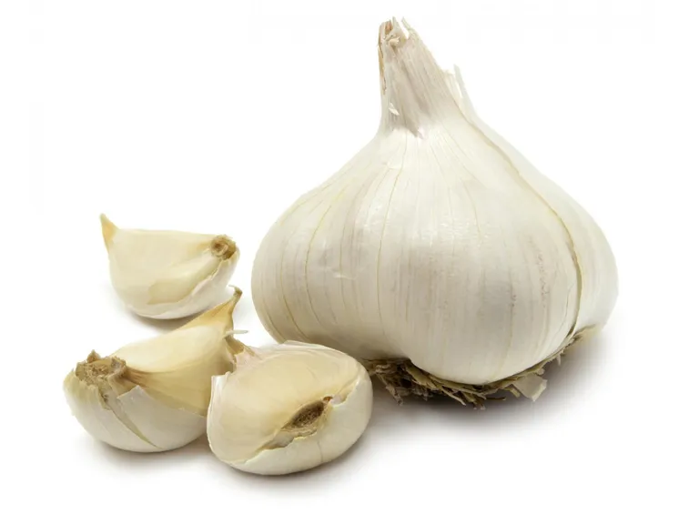 fiore dell'aglio