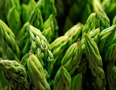 Asparagi