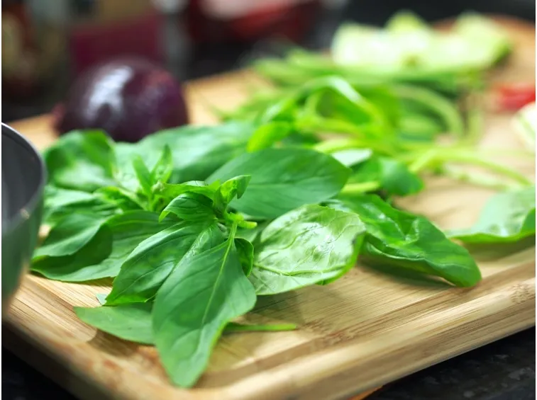 basilico