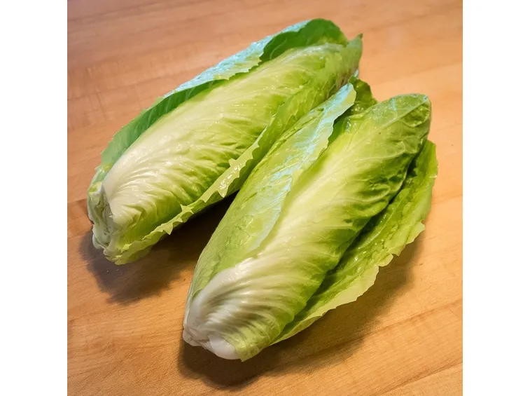 radicchio verde