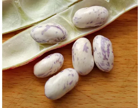 fagioli borlotti