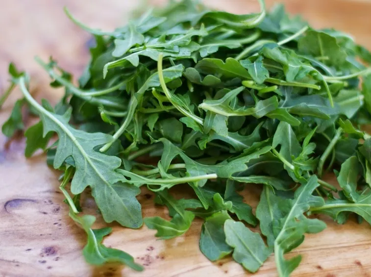 rucola