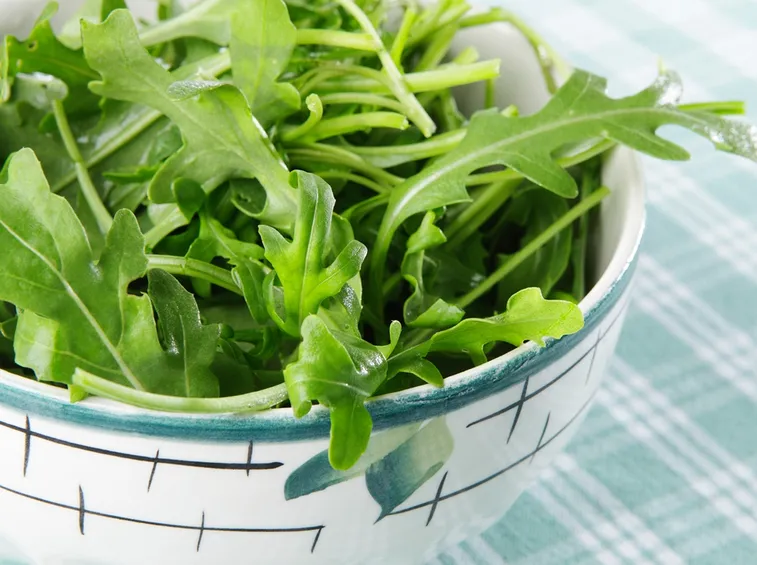 rucola
