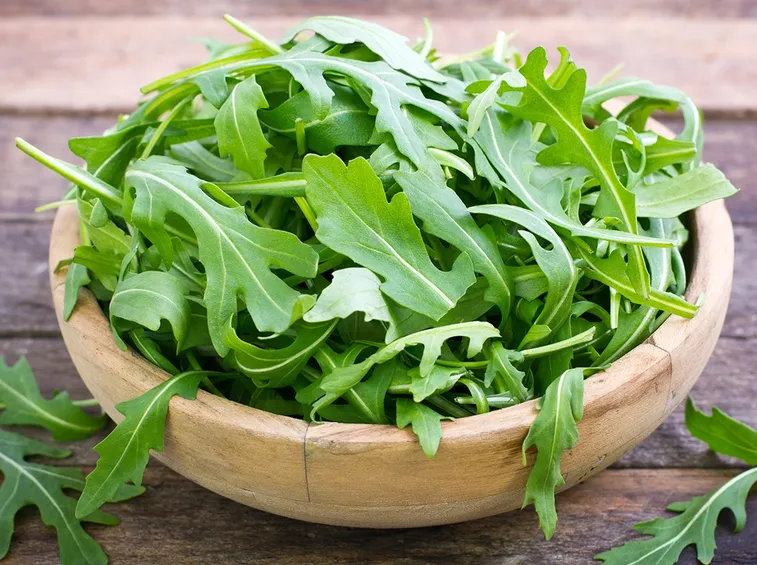 rucola