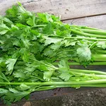 Gambe di sedano