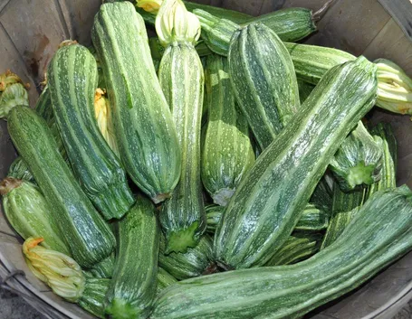 zucchine