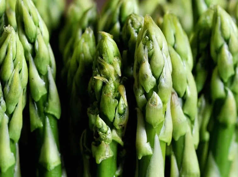 asparagi