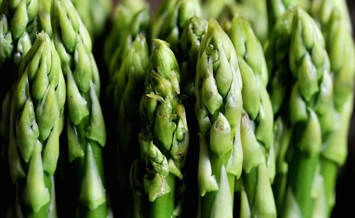 asparagi