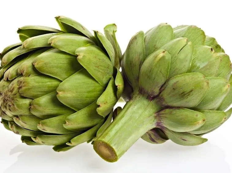 carciofi