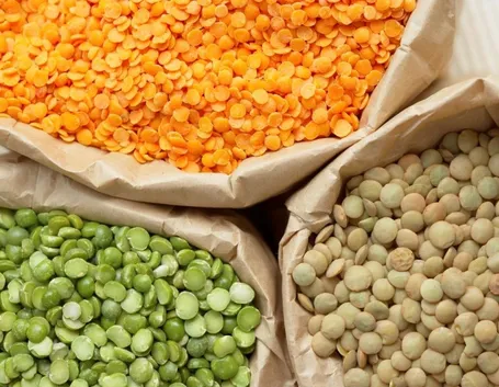 varietà lenticchie