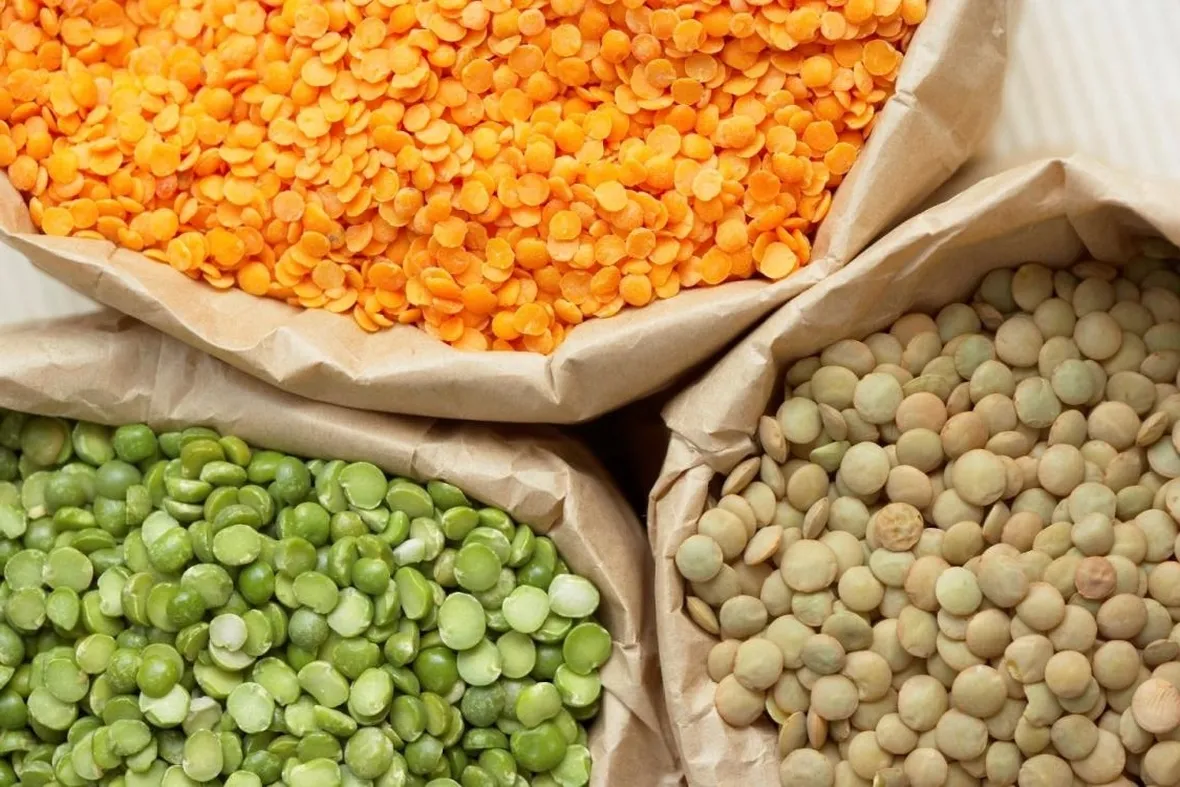 varietà lenticchie