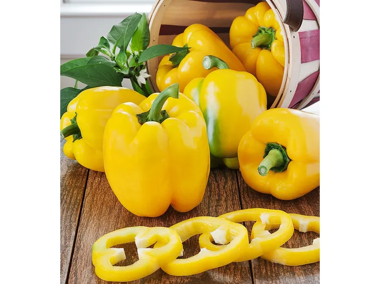 peperoni gialli