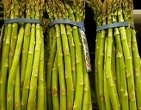 Asparagi