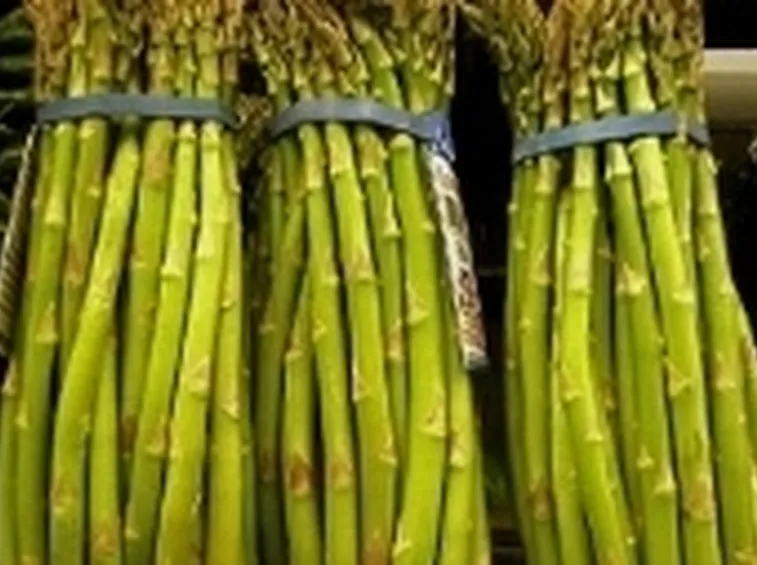 Asparagi