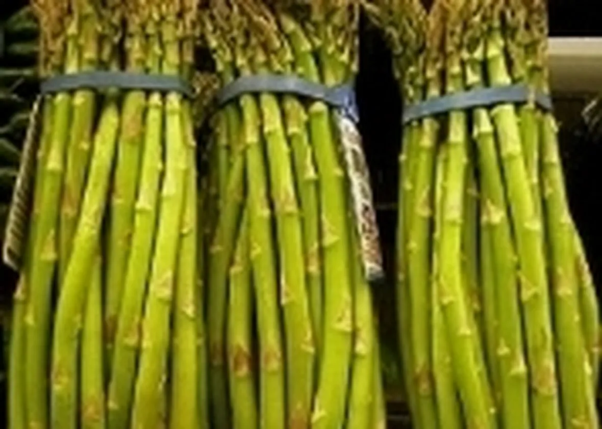 Asparagi