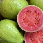 Frutto di guajava
