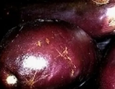 melanzane