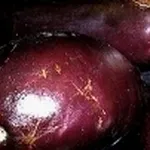 melanzane