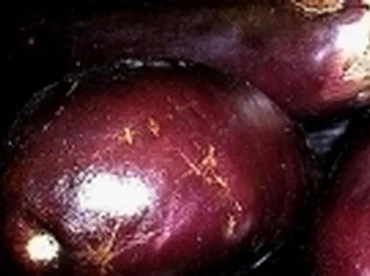 melanzane