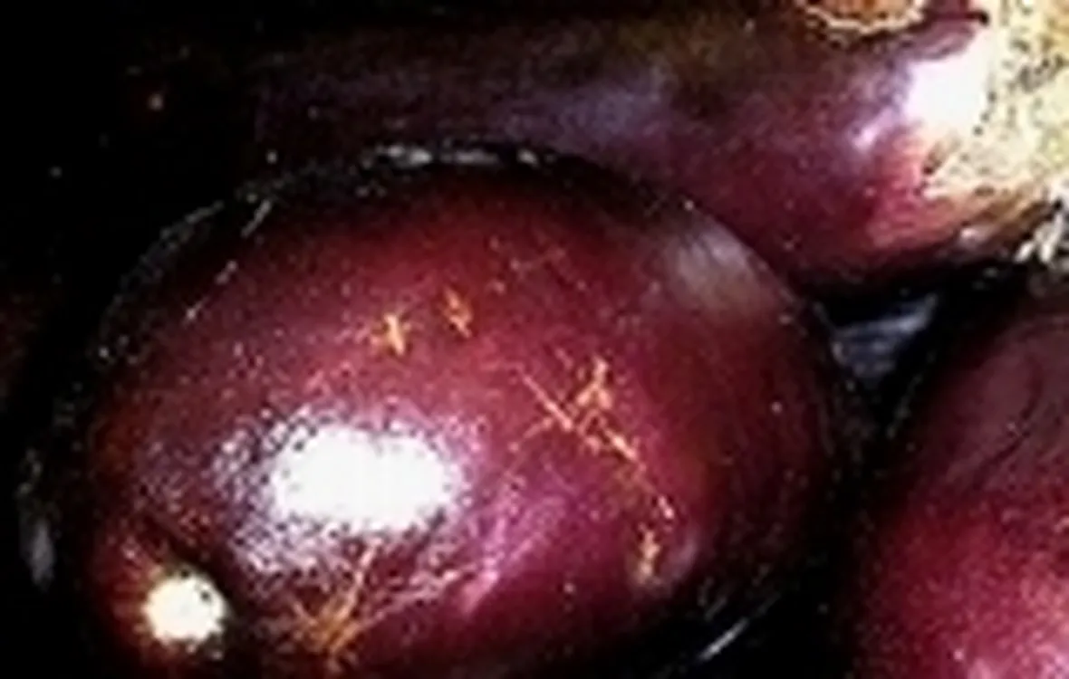 melanzane