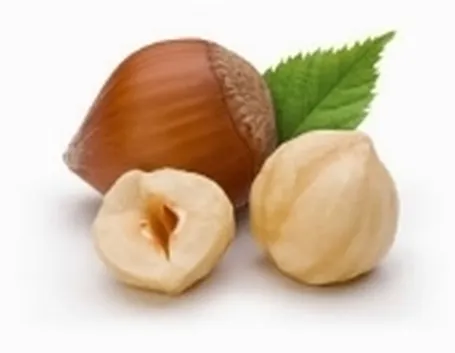 nocciole