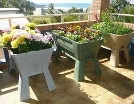 Orto sul balcone