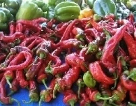 peperoncino