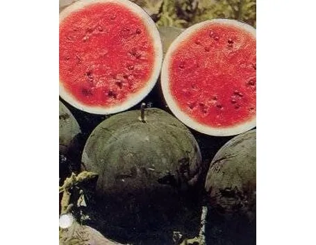Anguria