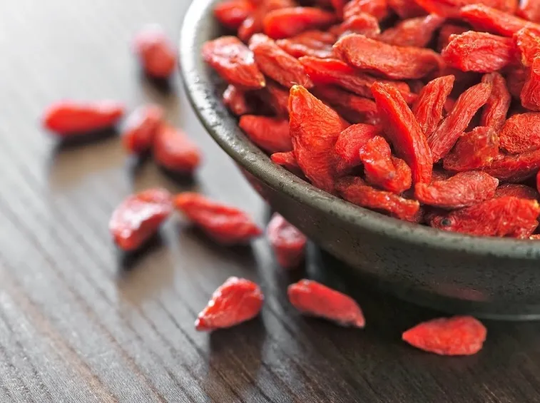 Bacche di goji sulla pianta