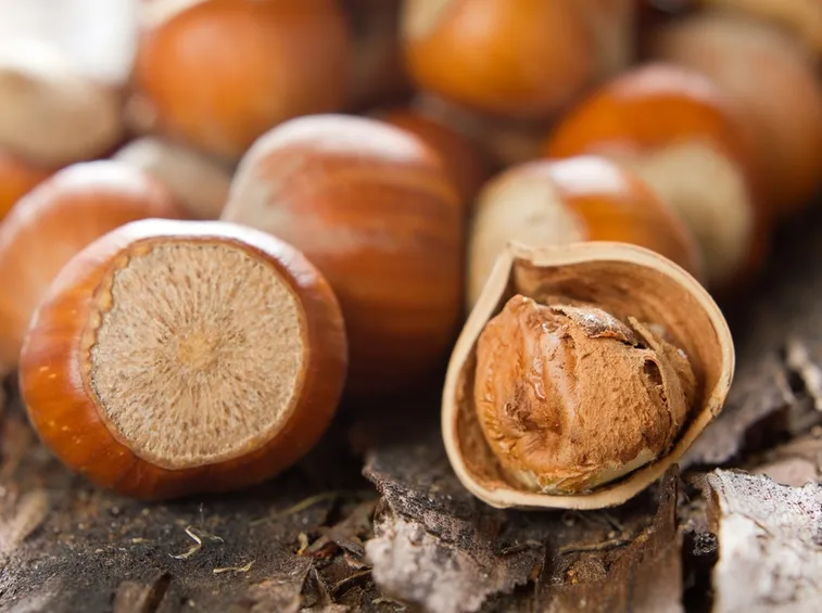 nocciole