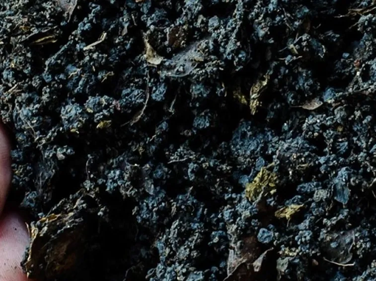 Terra fertilizzante