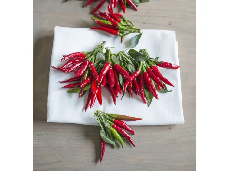peperoncino jalapeno