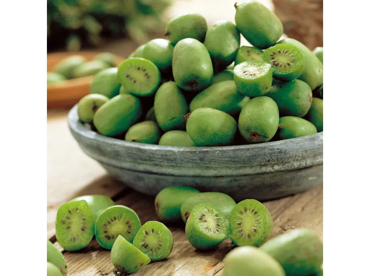 Fiore della pianta di kiwi.