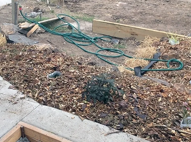 Fertilizzanti alberi