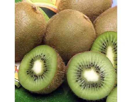 actinidia chinensis