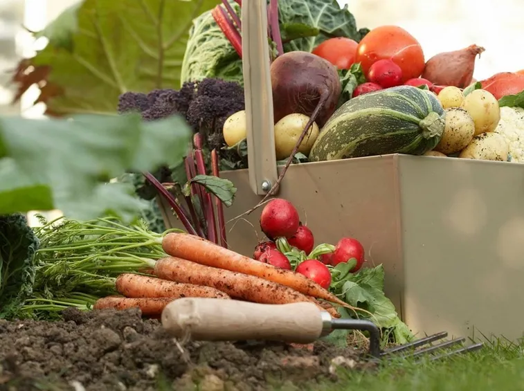 verdure settembre