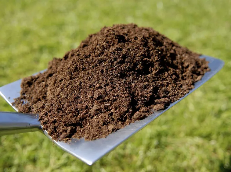 compost