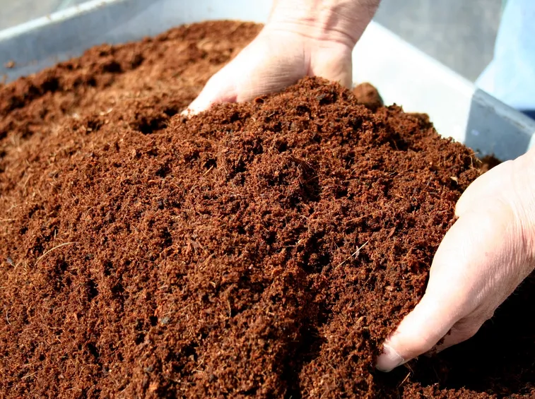 compost