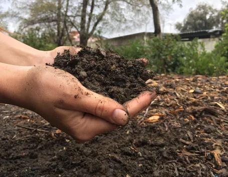 fertilizzanti biologici per orto