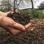 fertilizzanti biologici per orto