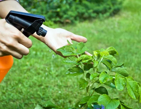insetticida biologico