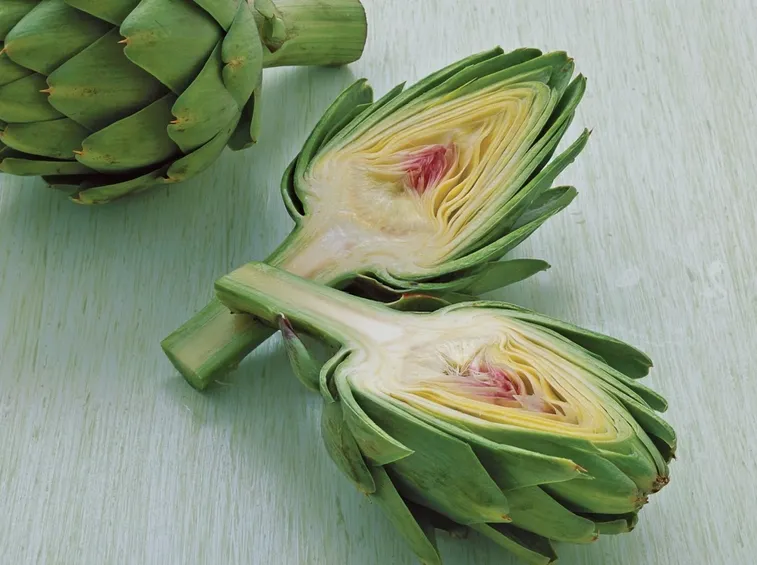 carciofi