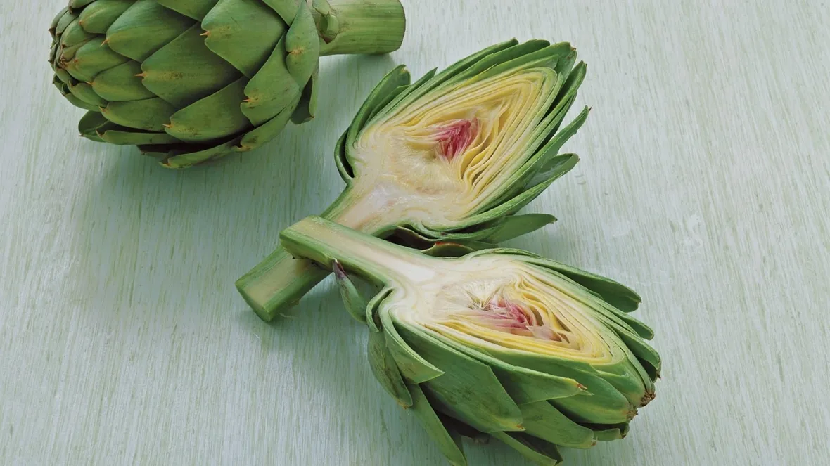 carciofi
