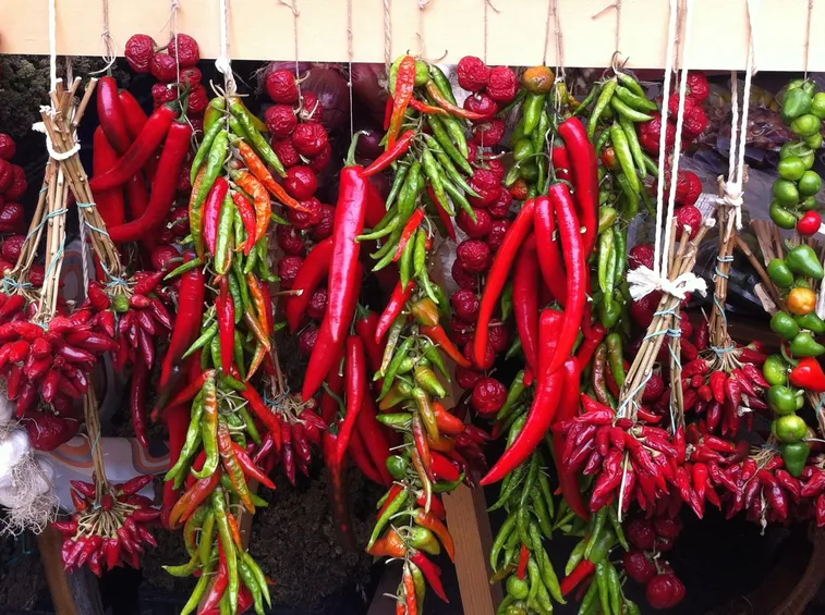 varietà calabresi peperoncino