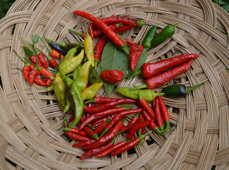 MIX PEPERONCINI