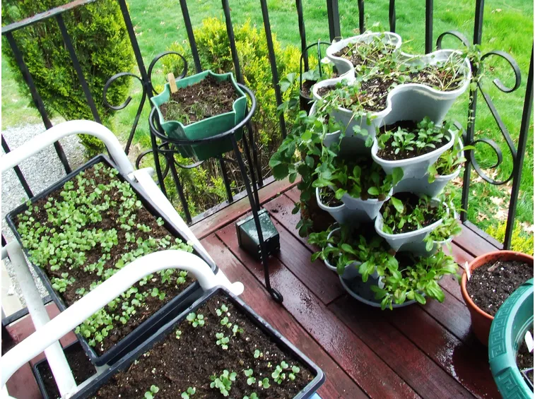 orto balcone