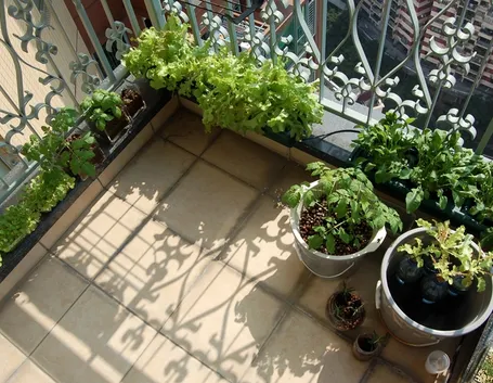 vasi per orto sul balcone